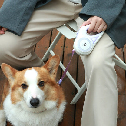 Led Lights Dog Leash - Furry Family Faves