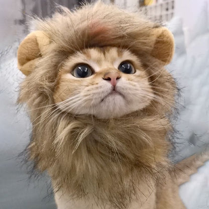 Lion Mane Cat Costume - Furry Family Faves