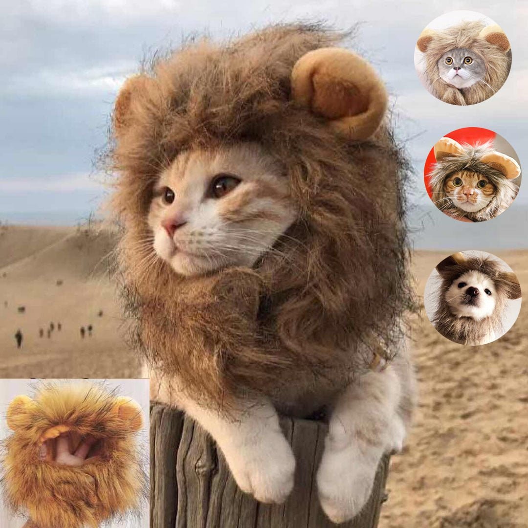 Lion Mane Cat Costume - Furry Family Faves