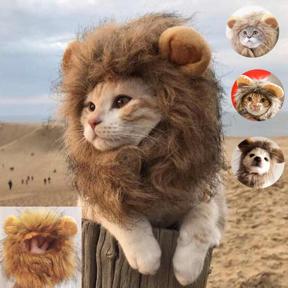 Lion Mane Cat Costume - Furry Family Faves