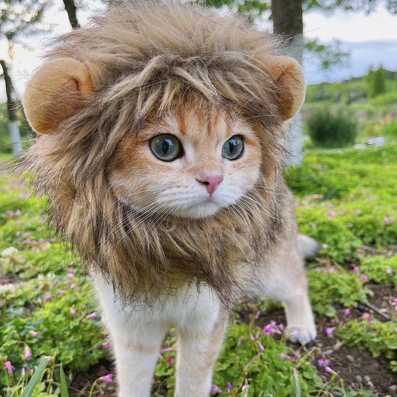 Lion Mane Cat Costume - Furry Family Faves