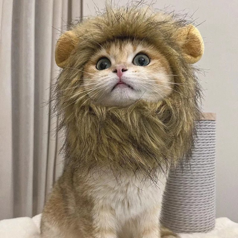 Lion Mane Cat Costume - Furry Family Faves