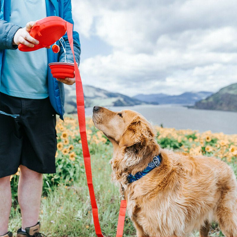 Multifunctional Water and Bag Dispenser Leash - Furry Family Faves