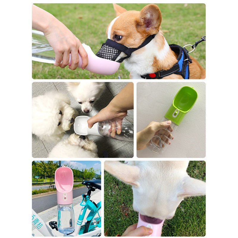 On-The-Go Multifunction Pet Bottle - Furry Family Faves