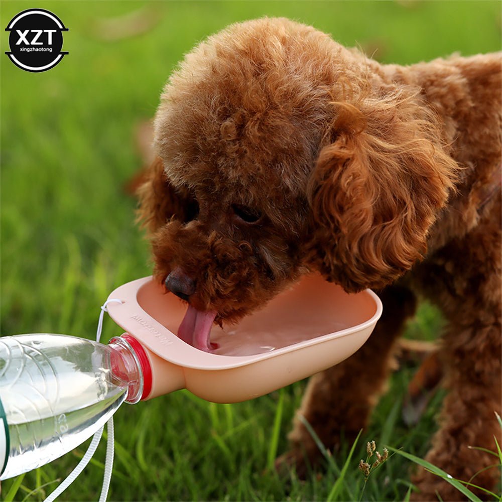 On-The-Go Pet Water Bowl - Furry Family Faves