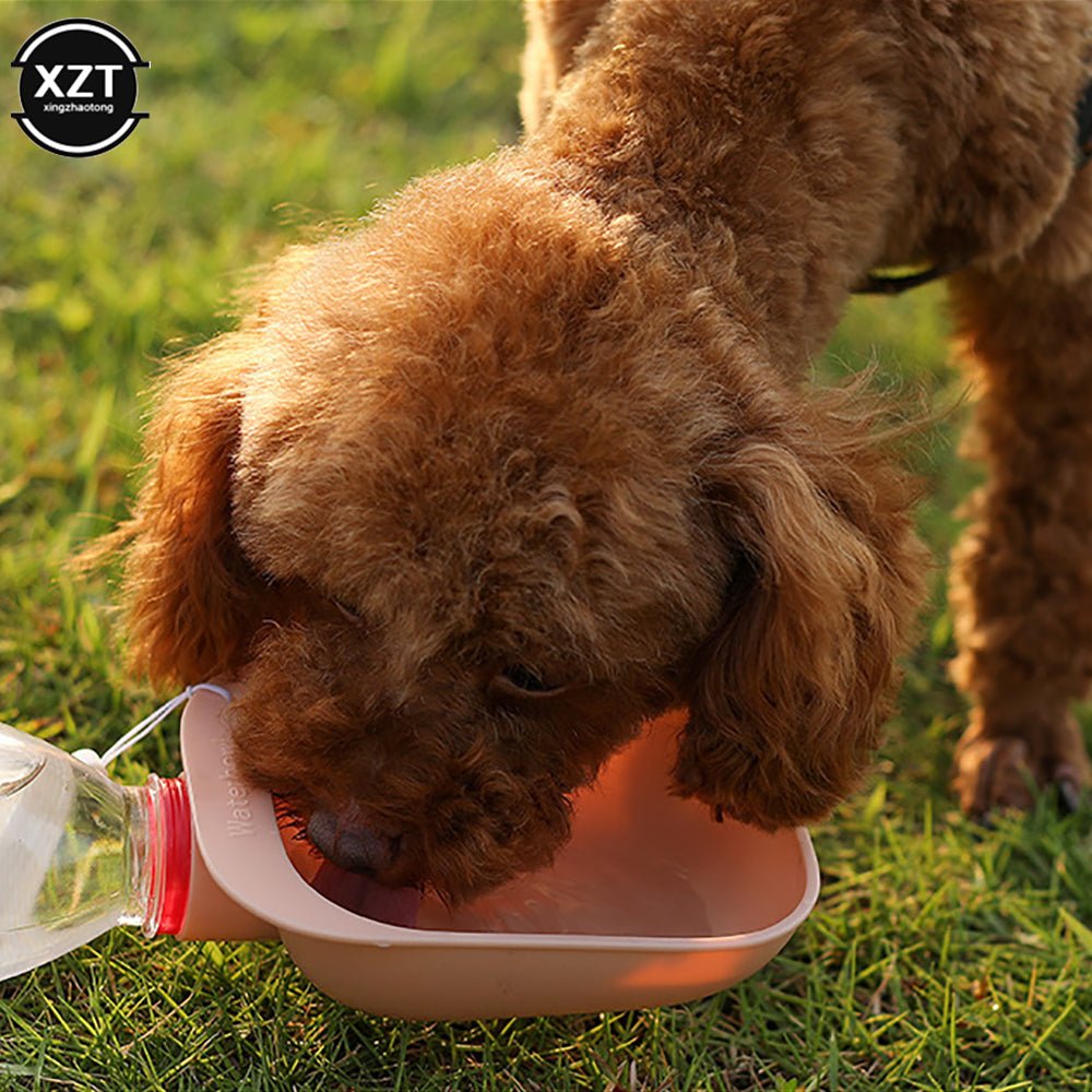 On-The-Go Pet Water Bowl - Furry Family Faves