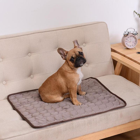 Pet Breathable Sofa Blanket - Furry Family Faves