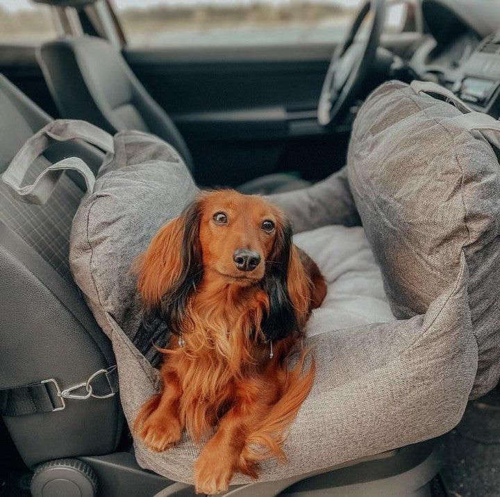 Pet Travel Bed - Furry Family Faves