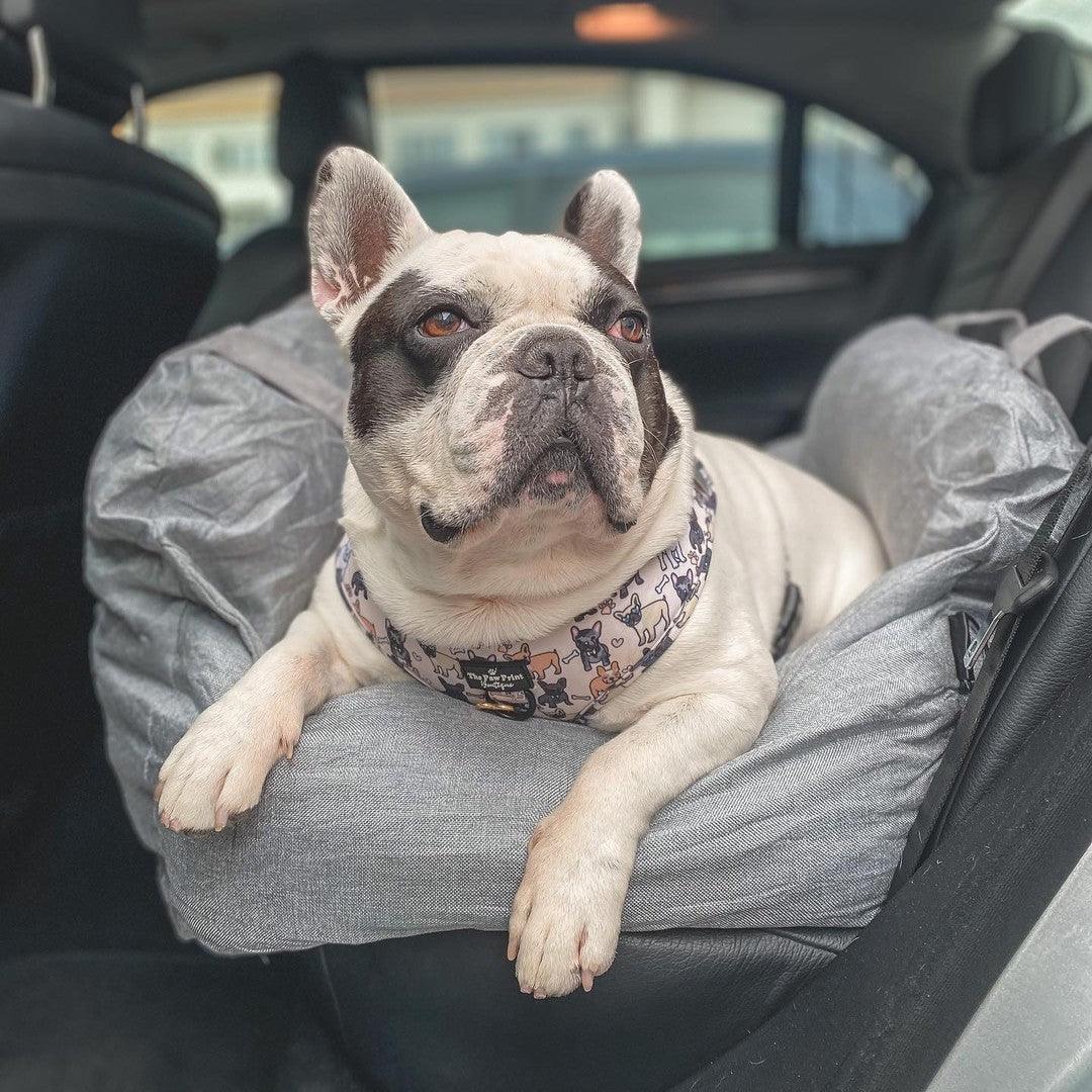 Pet Travel Bed - Furry Family Faves