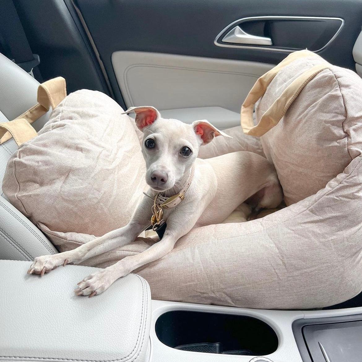 Pet Travel Bed - Furry Family Faves