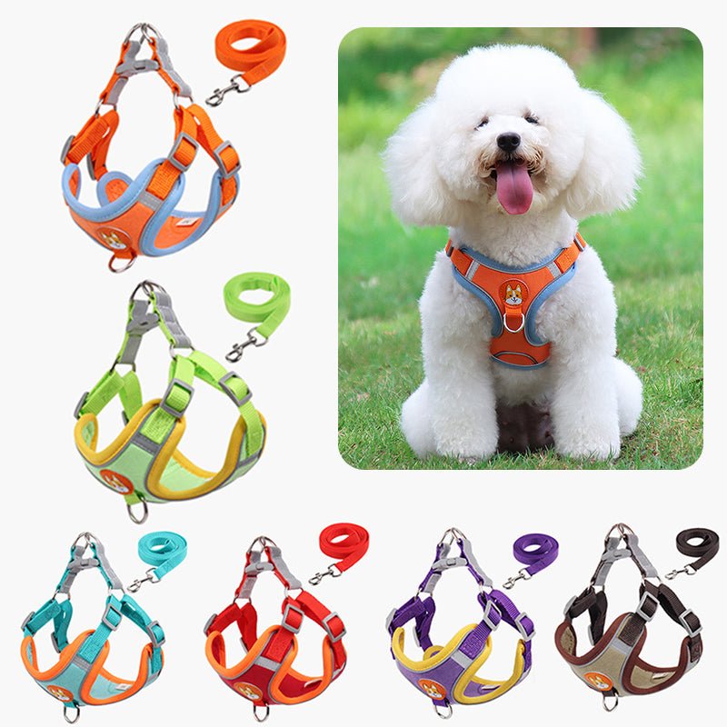 Reflective Pet Harness And Leash Set - Furry Family Faves