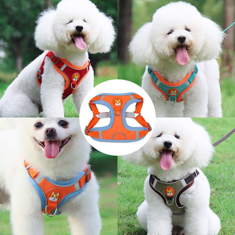 Reflective Pet Harness And Leash Set - Furry Family Faves