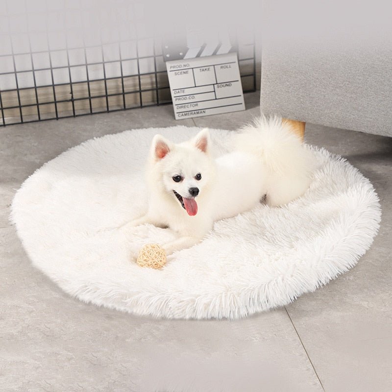 Round Dog Bed - Furry Family Faves