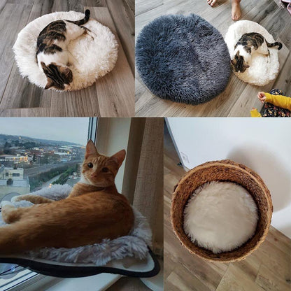 Round Dog Bed - Furry Family Faves