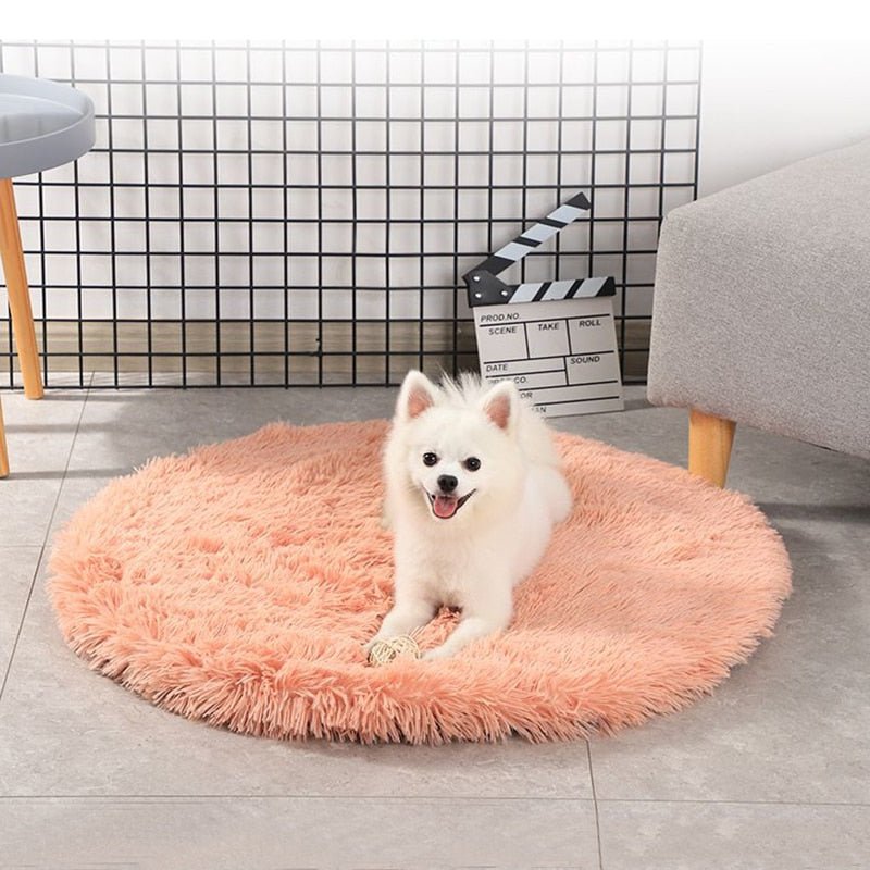 Round Dog Bed - Furry Family Faves