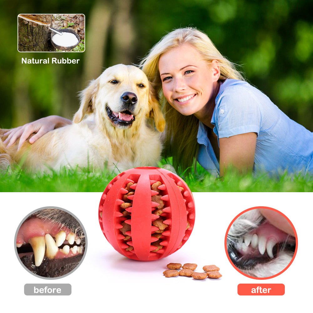 Rubber Balls Pet Toys - Furry Family Faves