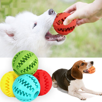 Rubber Balls Pet Toys - Furry Family Faves