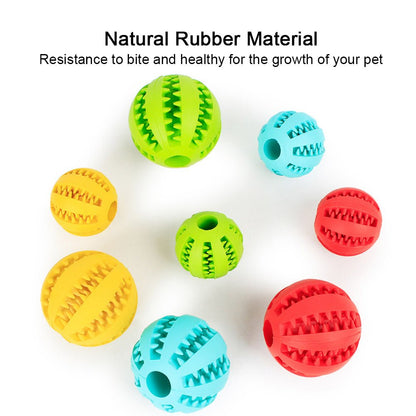 Rubber Balls Pet Toys - Furry Family Faves