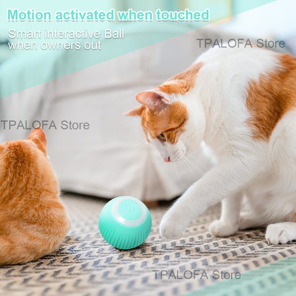 Self-moving Kitten Toys - Furry Family Faves