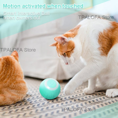 Self-moving Kitten Toys - Furry Family Faves