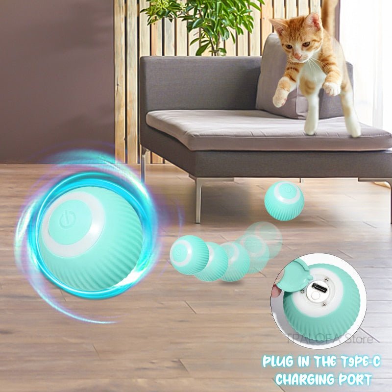 Self-moving Kitten Toys - Furry Family Faves