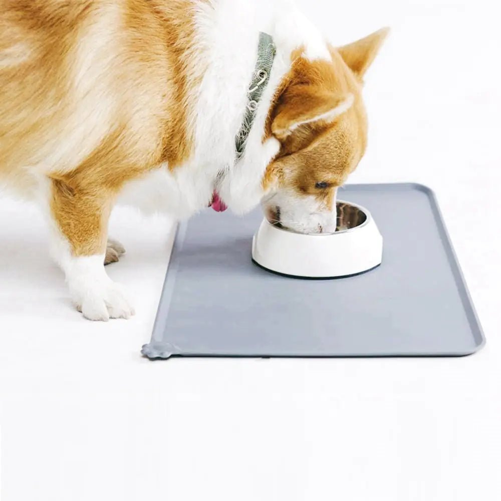 Silicone Pet Bowl Mat - Furry Family Faves