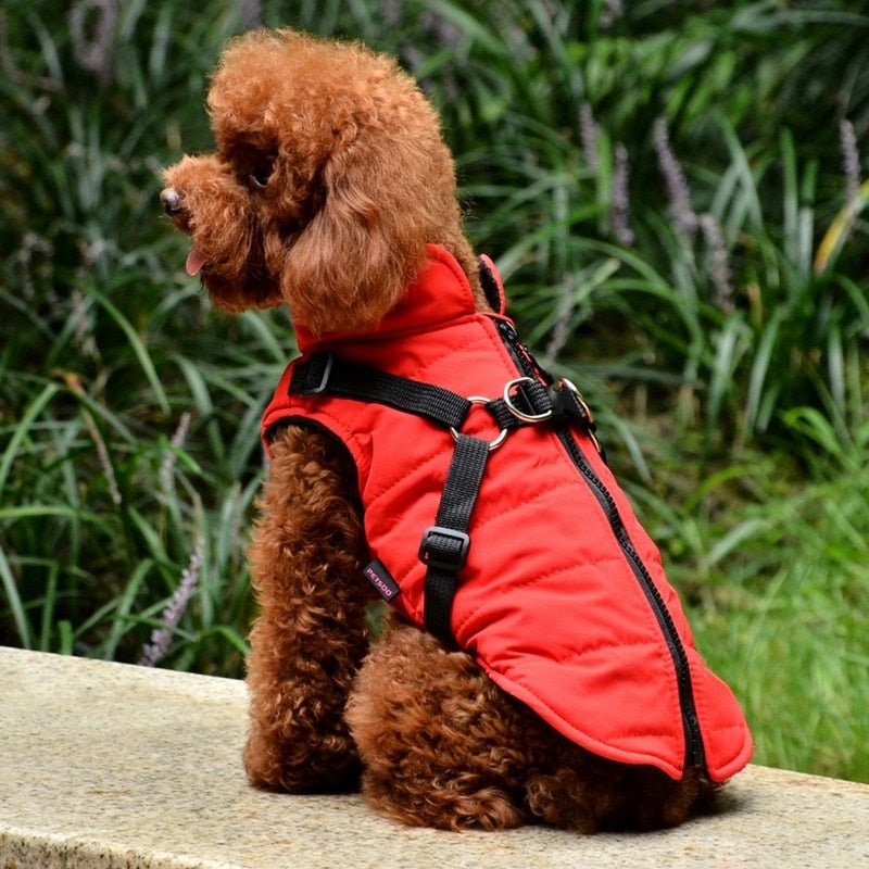 Waterproof Pet Coat With Harness - Furry Family Faves