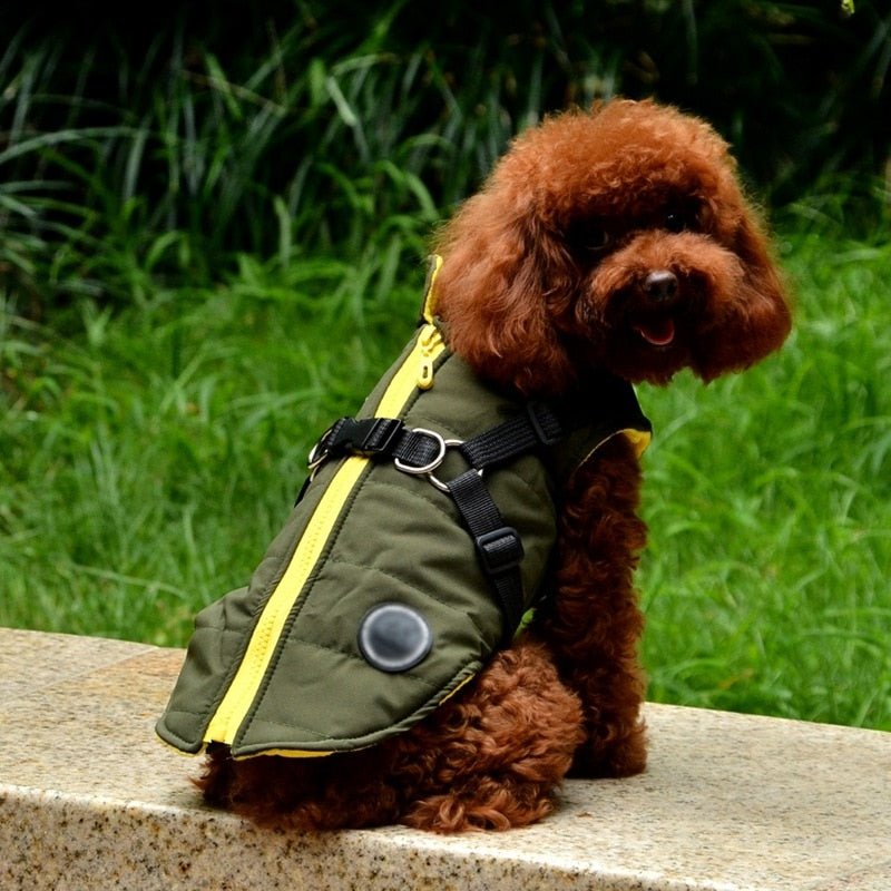 Waterproof Pet Coat With Harness - Furry Family Faves