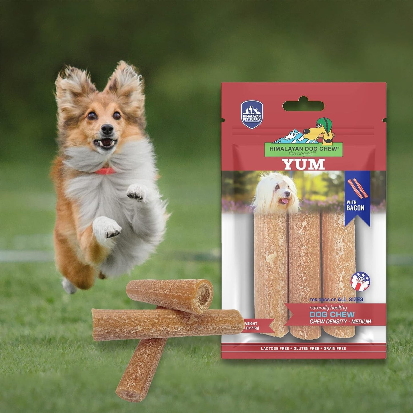 Yak Cheese Dog Chews, 100% Natural, Long Lasting, Healthy - Furry Family Faves